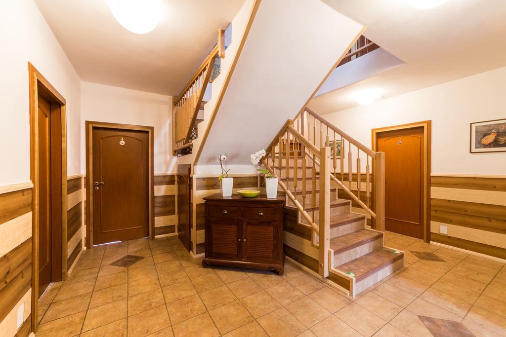 Hotel Admiral Lipno nad Vltavou Buitenkant foto